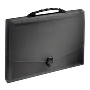 Mapa tip proiect cu maner Esselte VIVIDA, PP, negru BPTCSL080904