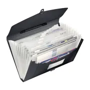 Mapa tip proiect cu maner Esselte VIVIDA, PP, negru BPTCSL080904