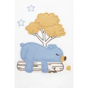 Set 0-3 luni bumbac 3 piese, bluza petrecuta cu nasturi, pantaloni cu botosei si caciulita trpb0058-cp1
