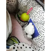 Geanta duffle Baby On Board Baby Girl