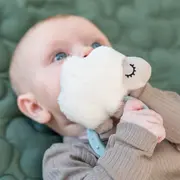 Jucarie senzoriala zornaitoare dentitie Done by Deer Sheepy Blue