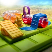 Smart games - smart dog, joc de logica cu 60 de provocari, 7+ ani, editie lb. romana - okesg451ro