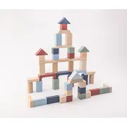 Jucarie din lemn, Cubika, Kit 50 de piese de constructie - Pastel