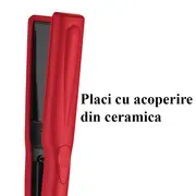 Placa de indreptat parul Revlon Smooth Results RVST2176GPE, temperatura pana la 200 grade, husa si perie de par Revlon cadou BITRVST2176GPE