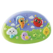 Jucarie muzicala - vise placute