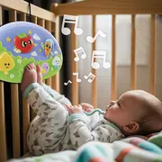 Jucarie muzicala - vise placute