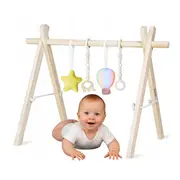 Centru de activitati, Lionelo, Anis Set, Cu arcada Montessori, Din lemn de pin, Jucarii plus, 4 jucarii suspendate, Stimuleaza simturile, Pliere rapida, Salteluta moale antiderapanta, 0+ luni, Multicolor BYNLO-ANIS_SET