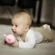 Jucarie de dentitie, Bocioland, Ciupercuta, BPA Free, 0 luni+, Pink BYNBL802