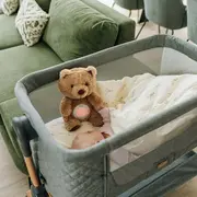 Jucarie multifuncionala, Cu proiector muzical, Free2Play, Din plus, Cu 7 modele de proiectie, Cu sunete si melodii, Bear BYN86557