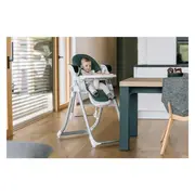 Scaun de masa si balansoar, FreeON, Oli Deluxe, 2 in 1, Transformabil, Multifunctional, Cu melodii de leagan, 0 luni+, Pistachio BYN82436