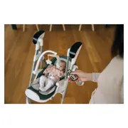 Scaun de masa si balansoar, FreeON, Oli Deluxe, 2 in 1, Transformabil, Multifunctional, Cu melodii de leagan, 0 luni+, Pistachio BYN82436