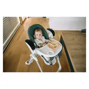 Scaun de masa si balansoar, FreeON, Oli Deluxe, 2 in 1, Transformabil, Multifunctional, Cu melodii de leagan, 0 luni+, Pistachio BYN82436