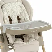 Scaun de masa si Balansoar, Jane, Mila 2 in 1, Transformabil, Multifunctional, 0 luni+, Conform cu standardele europene de securitate EN 14988:2017 + A1:2020EN 12790:2023, Sage BYN8420421094860