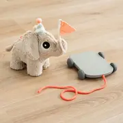 Jucarie Push Along 2 in 1 Done by Deer Elefant Sand