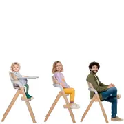 Scaun de masa multifunctional pliabil, Jane, Forest, De la 6 luni la adult, Din lemn fag, Greutate maxima 100 Kg, Sage BYN8420421093405