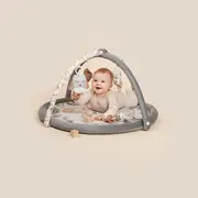 Salteluta Cu Arcada Interactiva Pentru Copii Si Bebelusi, Activitati Cu Jucarii Senzoriale ,   Animals Garden Pjbc139236