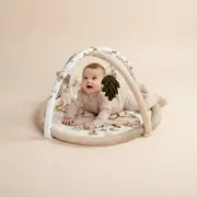 Salteluta Cu Arcada Interactiva Pentru Copii Si Bebelusi, Activitati Cu Jucarii Senzoriale ,   Happy Bear Pjbc590-3