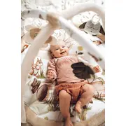 Salteluta Cu Arcada Interactiva Pentru Copii Si Bebelusi, Activitati Cu Jucarii Senzoriale ,   Happy Bear Pjbc590-3
