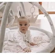 Salteluta Cu Arcada Interactiva Pentru Copii Si Bebelusi, Activitati Cu Jucarii Senzoriale ,   Peony Dreamland Pjbc590-3-2932