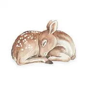 Perna - Bambi Big Pjb484432