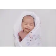 Pilota Pentru Copii Nature Bamboo By Amy Din Bambus Si Umplutura Hipoalergenica Babysoft, Pasari Mint, 70x65cm Pjb82778
