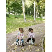 Bicicleta De Echilibru Saro , &oelig;ride Free,   Pink, Fara Pedale, Cu 4 Roti Pentru Stabilitate (2 Fata + 2 Spate), Lumina Frontala, 12+ Luni, Max 25 Kg Pjb89001