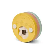 Aripioare De Inot Evolutive Pentru Copii ,   Sistem Cu Discuri Detasabile, Saro, Pink Pjb60302