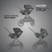 Scoica auto isize coccolle rilax greystone + baza isofix isize smb32508046204b1