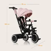 Tricicleta copii, Lionelo, Berry, 2 in 1, Multifunctionala, Suport picioare, Control al directiei, Scaun reversibil, Rotire 360 grade, Functie de roata libera, Utilizare pana la 5 ani, Constructie din otel, Conform cu standardul EN71, Roz BYNLO-BERRY_PINK