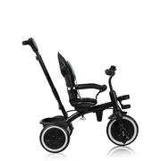 Tricicleta copii, Lionelo, Berry, 2 in 1, Multifunctionala, Suport picioare, Control al directiei, Scaun reversibil, Rotire 360 grade, Functie de roata libera, Utilizare pana la 5 ani, Constructie din otel, Conform cu standardul EN71, Verde BYNLO-BERRY_GR