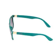 Ochelari de soare polarizati pedro p6216-4