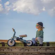 Tricicleta, Petite&Mars, Turbo, Editie limitata, 5 in 1, Multifunctionala, Vehicul de impins, Bicicleta cu/fara pedale, Cu maner de ghidaj, Detasabil, Roti din cauciuc, Pana la 25 kg, 1.5-5 ani, Dino Park BYN613383