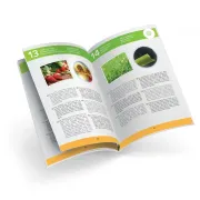 Microscop 40 experimente bkmr800
