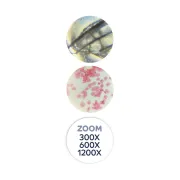 Microscop 40 experimente bkmr800