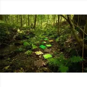 Covoras ortopedic senzorial puzzle elemente din natura - okemfk-097