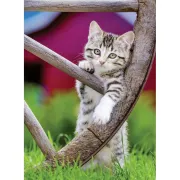 Ravensburger - Puzzle pisicute 2x500 piese - ARTRVSPA00232