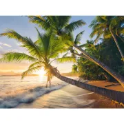Ravensburger - Puzzle plaja 1500 piese design nou - ARTRVSPA00693