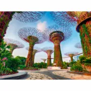 Ravensburger - Puzzle Gardens by the Bay Singapore 1500 piese - ARTRVSPA01396