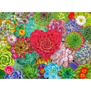Ravensburger - Puzzle plante suculente 500 piese - ARTRVSPA01469