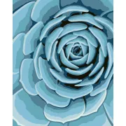 Ravensburger - CreArt pictura pe numere pentru adulti planta suculenta albastra - ARTRVSPBN23610