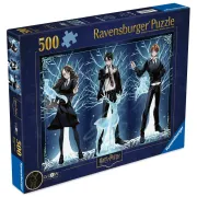 Ravensburger - Puzzle care straluceste in intuneric Harry Potter 500 piese - ARTRVSPA01509