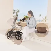 Carucior 2 in 1, Lionelo, Carmine, Parte sport si Landou anti-reflux, Salteluta ventilata, Reglare spatar, Suport de picioare, Maner reglabil, Sustine 22 kg, Cu accesorii, 0 luni+, Bej BYNLO-CARMINE_2IN1_BEIGE_SAND