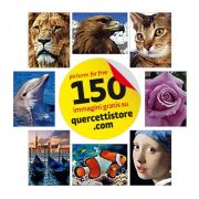 Set creativ pentru copii Pixel Photo Art 16 Quercetti - SOLQ0843