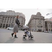 Tricicleta Rito Deluxe Rosie cu maner parasolar si centuri - SOLVOL861
