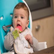 Jucarie dentitie Bo Jungle pentru bebelusi Capsuna - SOLBJB560300