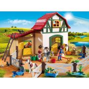 Ferma Poneilor - ARTPM6927