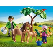 Veterinar Cu Ponei Si Manz - ARTPM6949