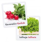 Set creativ pentru copii Gioca Green plantare si crestere Salata Ridiche Quercetti - SOLQ0680