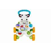 ANTEPREMERGATOR ZEBRA FISHER PRICE VIVMTDLD80