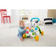 ANTEPREMERGATOR ZEBRA FISHER PRICE VIVMTDLD80